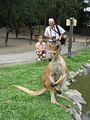 082 Port Douglas Wildlife Habitat